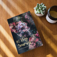 40 Day Journal: 40 Days to Mindfulness